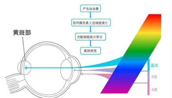 UGRֵ���ߣ�ר�����ѣ����϶���Ҫ�صƿ��������