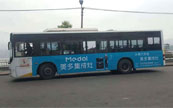 죬༯鲼С ǿϮ