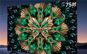 618ս¯TCL¶һȫ԰