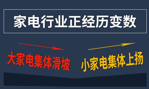 家电行业正经历变数，大家电集体滑坡，小家电集体上扬